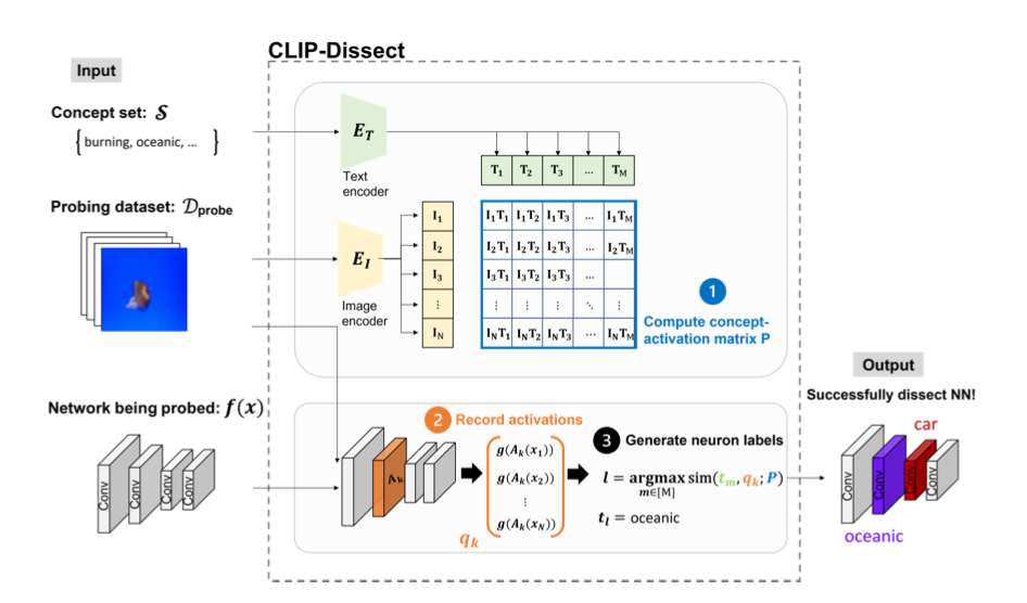 CLIP-Dissect Process